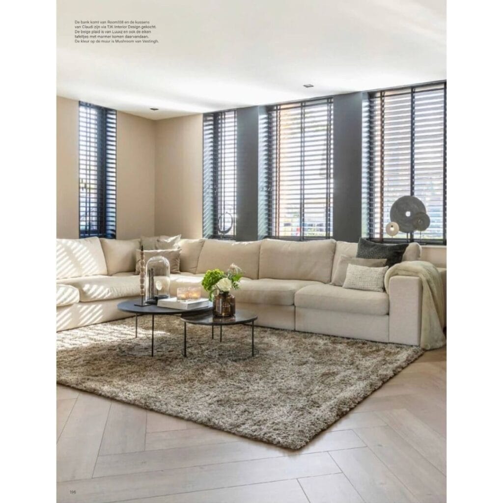 stijlvol-wonen-shoot-kussens-tjkinterior stijlvol-wonen-shoot-kussens-tjkinterior