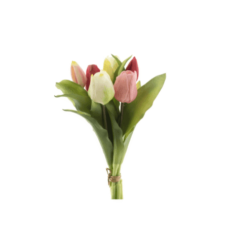 real-touch-tulpen-pink-cream-tjkinterior